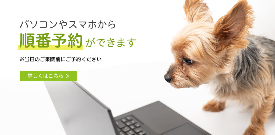 パソコンやスマホから順番予約ができます